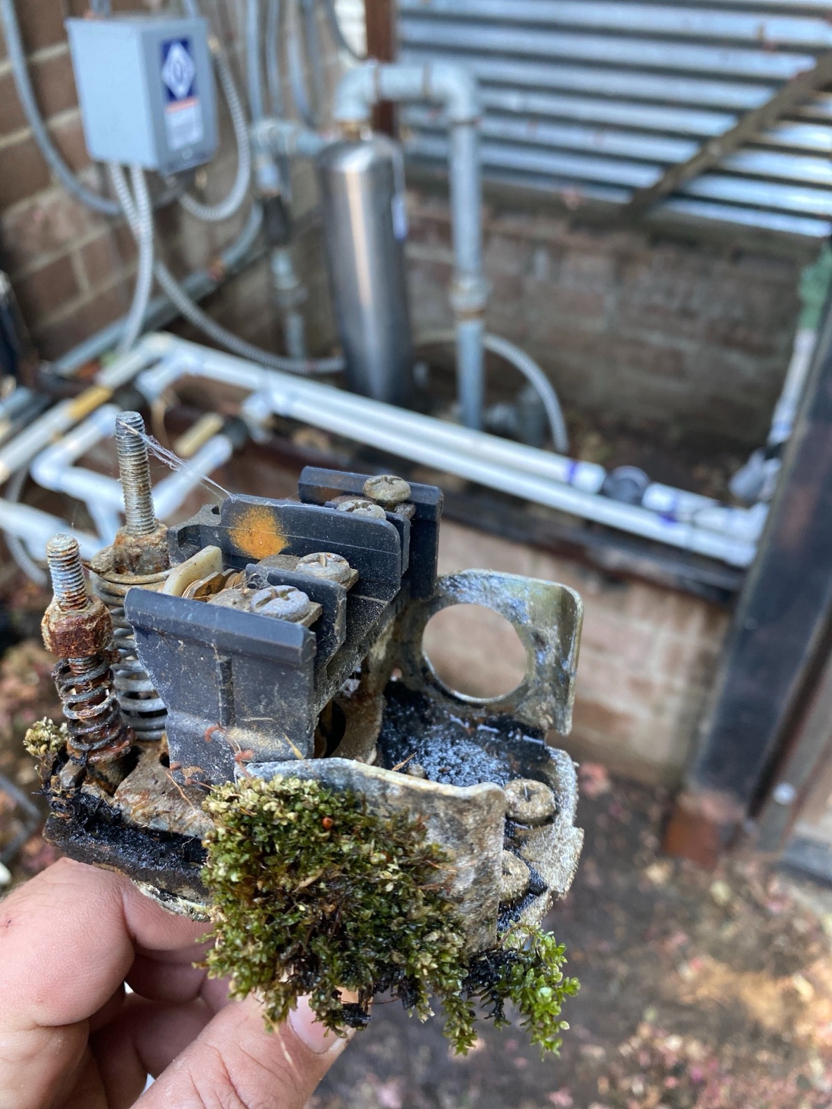 Corroded pressure switch
